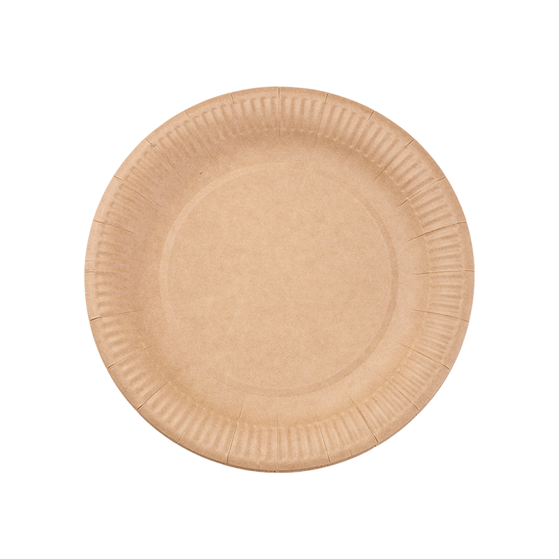Farfurie Kraft pentru petrecere de 8 inchi – Eco-friendly
