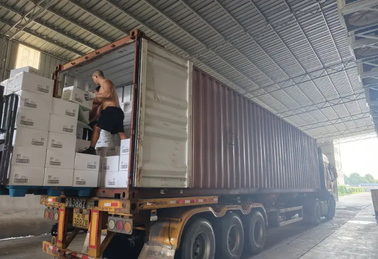 Kosda Iunie 2026 Export de produse din hârtie cu container dublu | Ningbo